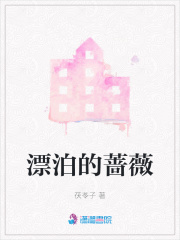 漂泊的蔷薇在线阅读