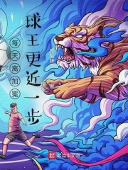 每天离加冕球王更近一步在线阅读