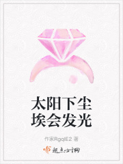 太阳下尘埃会发光在线阅读
