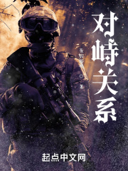 对峙关系在线阅读