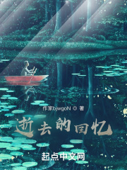 逝去的回忆在线阅读
