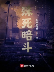 殊死暗斗在线阅读