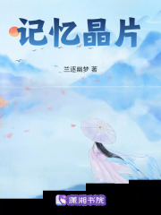 记忆晶片在线阅读