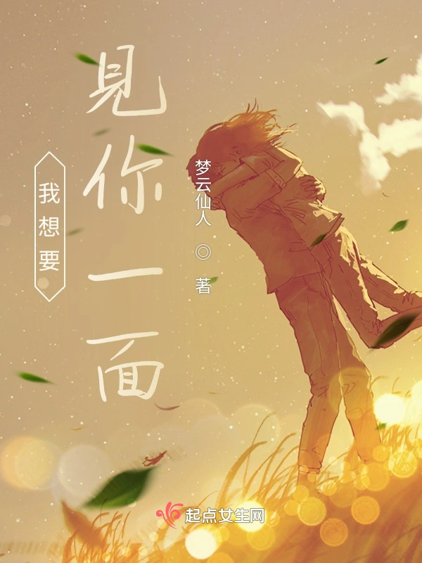 我想要见你一面