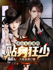 我的冰山女总裁