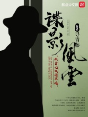 谍影风云：番外在线阅读