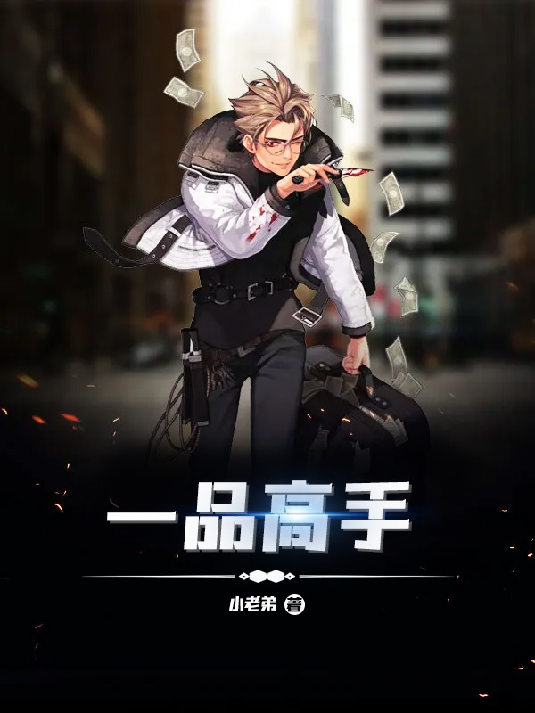 一品高手