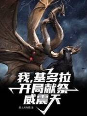 我，基多拉，开局献祭威震天在线阅读