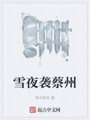 雪夜袭蔡州在线阅读