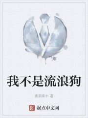 我不是流浪狗在线阅读