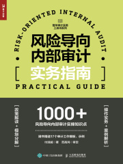 风险导向内部审计实务指南