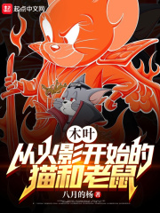 木叶：从猫和老鼠开始在线阅读