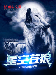 星空苍狼在线阅读