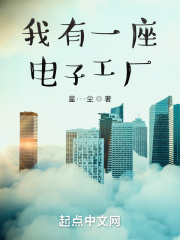 我有一座电子工厂在线阅读