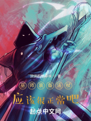 巫师装备法杖，应该很正常吧在线阅读
