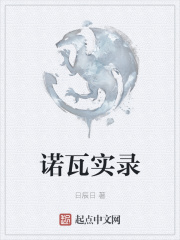 诺瓦实录在线阅读