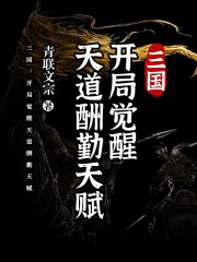 三国：开局觉醒天道酬勤天赋