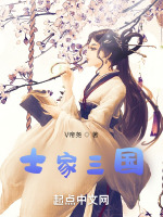 士家三国封面
