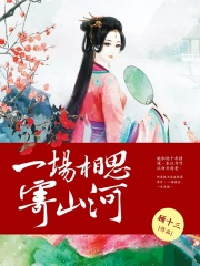 一场相思寄山河在线阅读