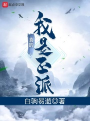 我真的是正派：番外在线阅读