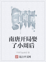 南唐开局娶了小周后封面