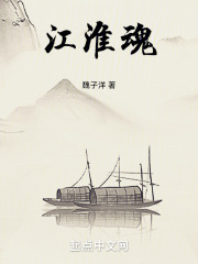 江淮魂在线阅读