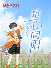 星心向阳在线阅读