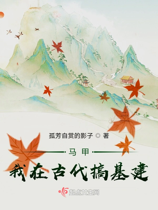 马甲：我在古代搞基建