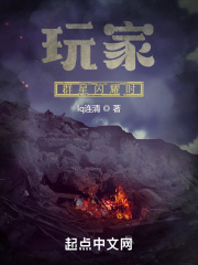 玩家们的异界钢铁洪流在线阅读