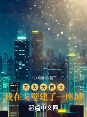 开发大西北：我在戈壁建了一座城在线阅读