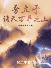 吾立于诸天万界之上