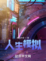 人生模拟封面