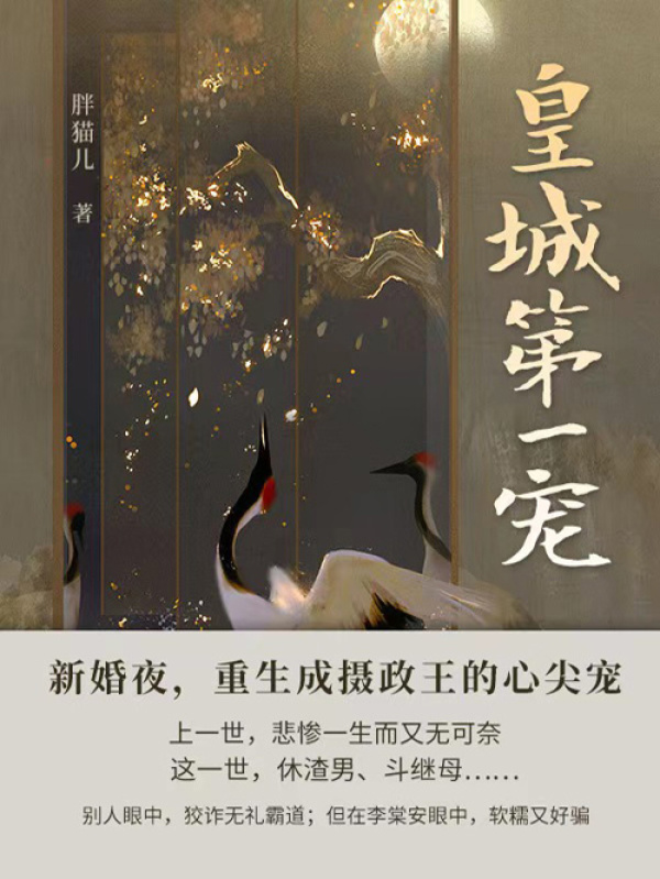 皇城第一宠（第3卷）