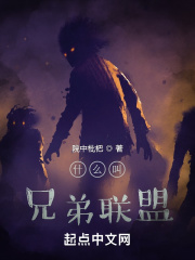 什么叫兄弟联盟在线阅读