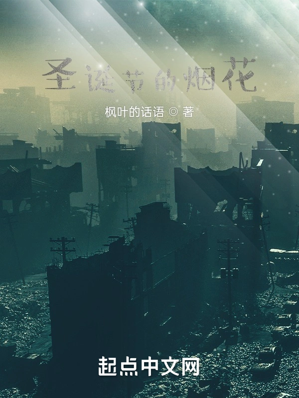 圣诞节的烟花