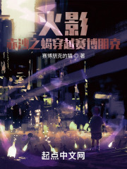 火影：赤沙之蝎穿越赛博朋克