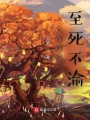 我们的时代：至死不渝在线阅读