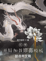 红楼：开局加载嫪毐模板最新章节在线阅读
