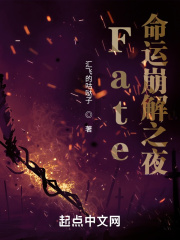Fate命运崩解之夜在线阅读