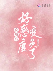攻略后，好感度变负了在线阅读