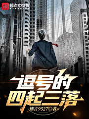 逗号的四起三落在线阅读