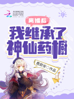 离婚后我继承了神仙药橱在线阅读