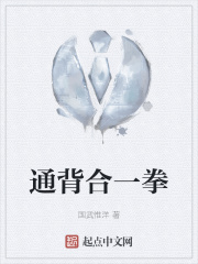 通背合一拳在线阅读