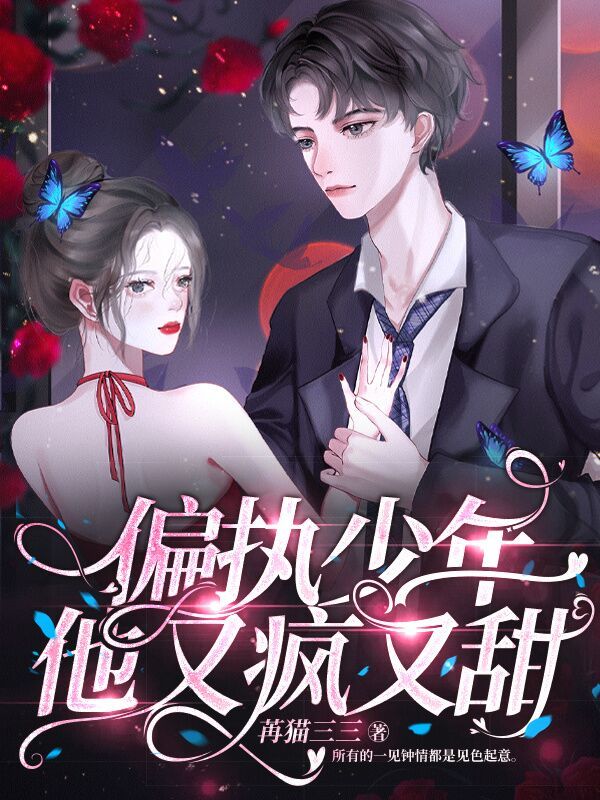 偏执少年他又疯又甜