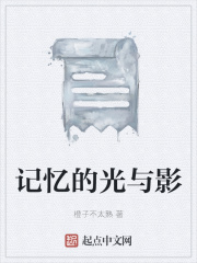 记忆的光与影在线阅读