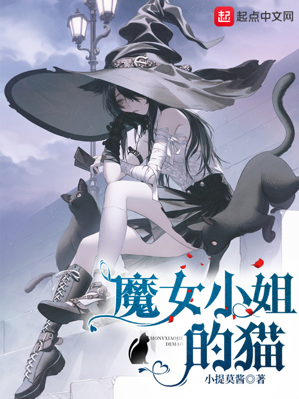 魔女小姐的猫在线阅读