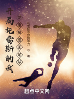 开局托雷斯的我，要重振德国足球在线阅读
