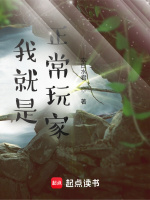 我就是正常玩家！封面
