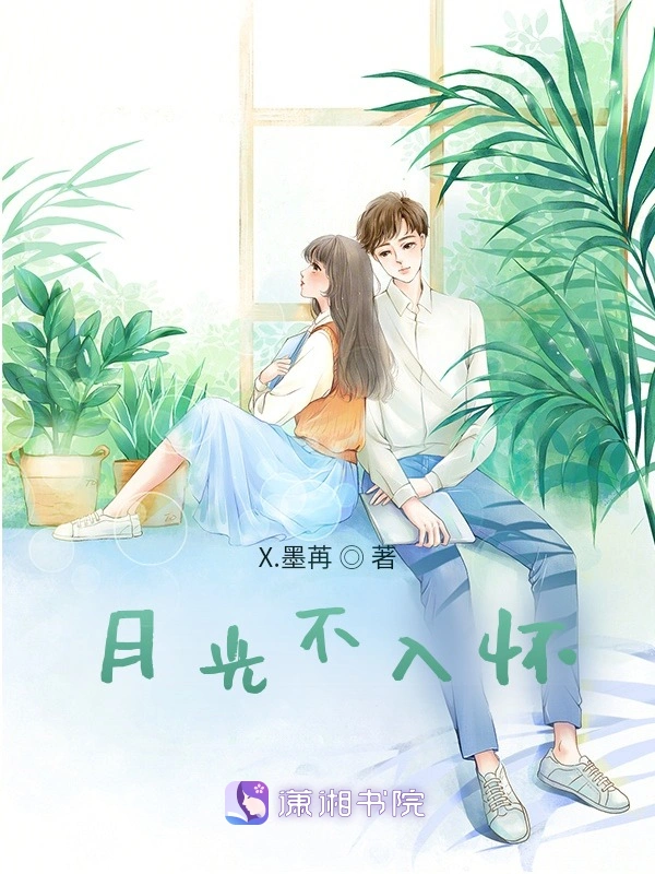月光不入怀