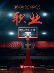 我真打不了职业在线阅读